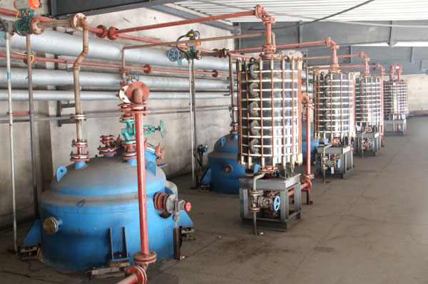 成人黄瓜视频下载厂家