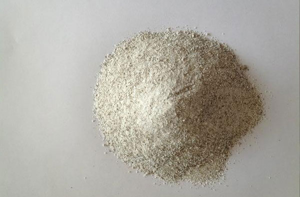 黄瓜视频免费下载